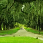 Kothapalli pradeep naidu