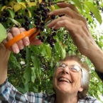 Gale Picard Dorion KF5TTP