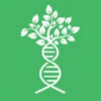 Theo Sebastian Tiltnes