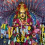 Harish Reddy
