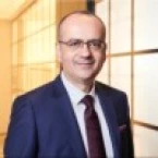 Dimitris Moulavasilis