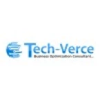 Techverce LLC IT Consulting Company
