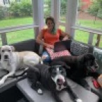 Shaelyn Germain-Dupre