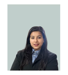 Public Relations Executive