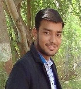 Senior Wordpress Developer