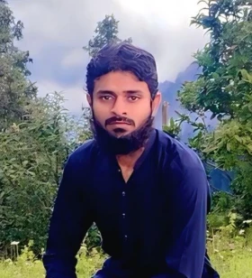 WordPress Developer