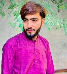 WordPress Developer