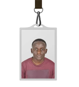 Lead Web Developer