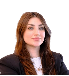 PPC Strategist