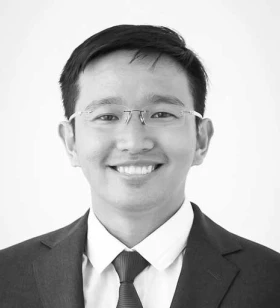 Consulting Tech Leader