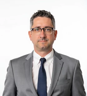 VP of Professional Services