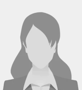 SEO Executive