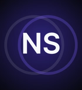 Software Developer