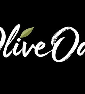 Interior Design in Hyderabad | OliveOak Interiors