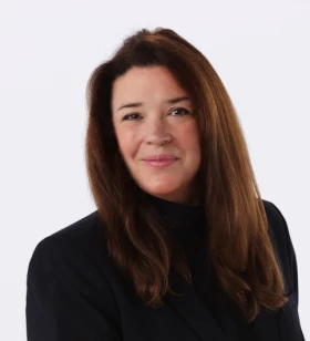 Owner/Lead Consultant