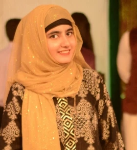 Business Developer Executive