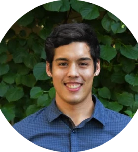 Salesforce Consultant