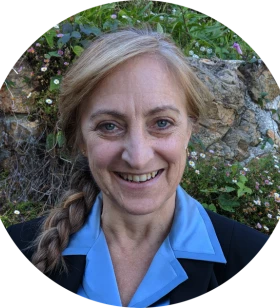 Salesforce Consultant