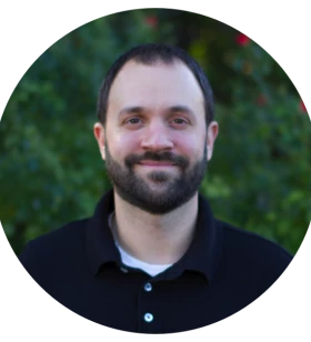 Salesforce Consultant