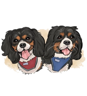 Office Hounds
