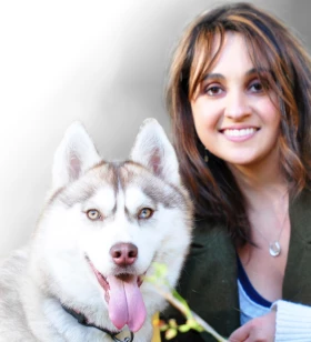 Senior Project manager