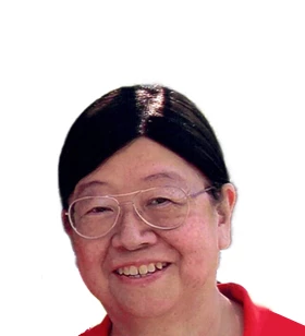 Senior Programmer Analyst