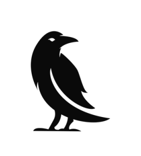 Co-founder / Developer