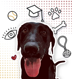 Canine Expert