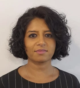 Freelancer / Consultant