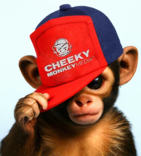 Marketing Coordinator