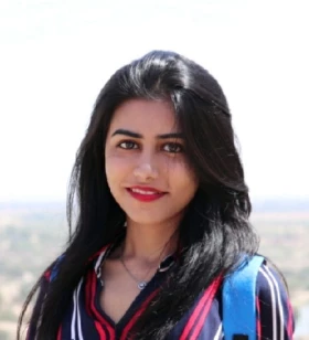 Full-Stack Developer