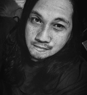 Freelance WordPress Developer