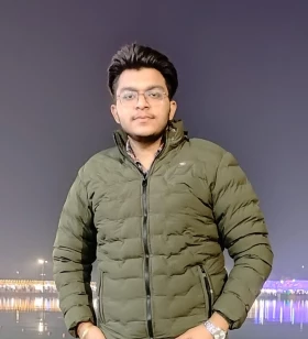 WordPress Developer