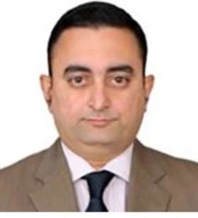 Principal Developer and Trainer