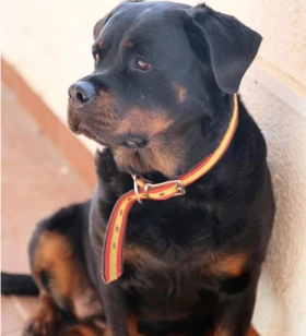 Administration Manager