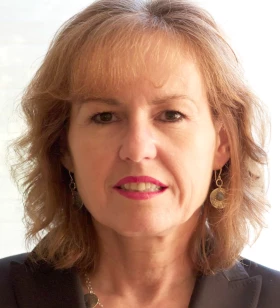 SEO / Content Marketing Consultant and Owner