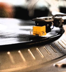 UX Designer / Avid vinyl collector