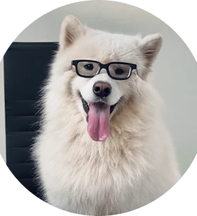 Stress Relief Expert