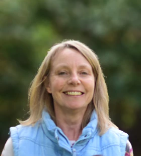 Lead Design and Art Direction