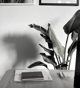 Founder and client director.