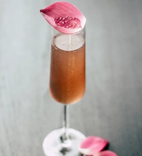 Lead Graphic Designer