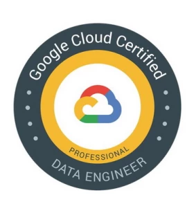 Professional Data Engineers