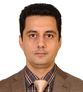 Sr. Business Consultant