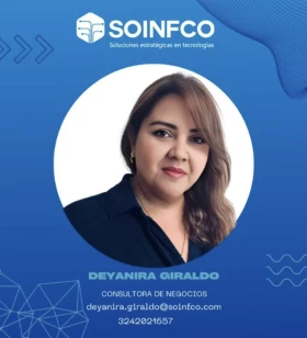 Consultora de negocios