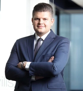 Business Consultant