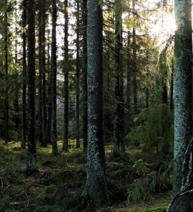 Operations | Contract Manager