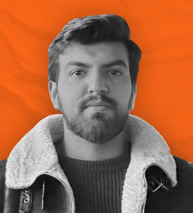 Web Development Director