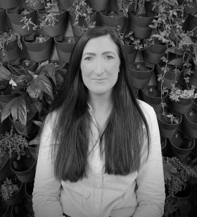 Technical SEO & Social Media Executive