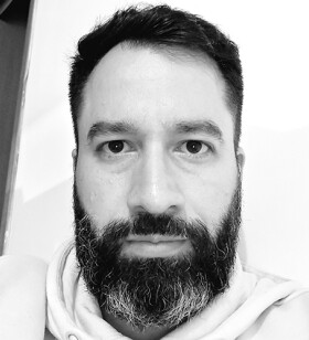 Team Leader / Project Manager