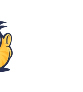 Sales & Project Manager